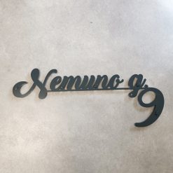 namo-numeris-gatves-pavadinimas-antracito-Nemuno-9