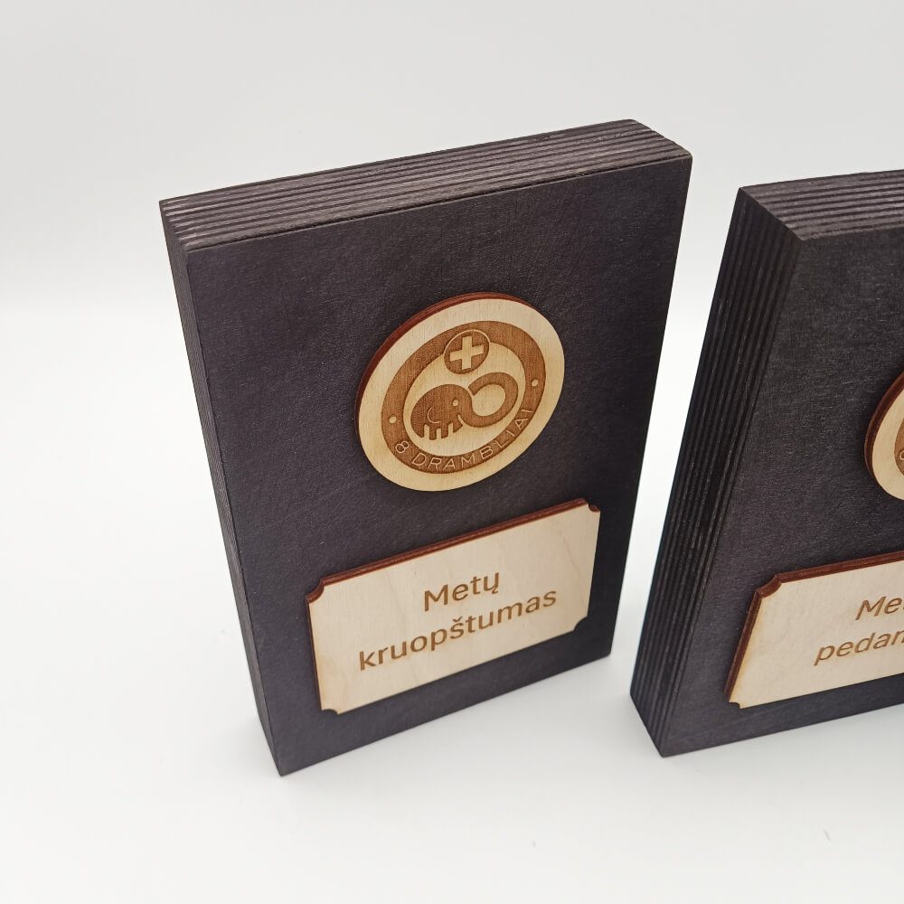 Tamsios medinės nominacijų lentelės su logotipu ir „Metų kruopštumas“ užrašu