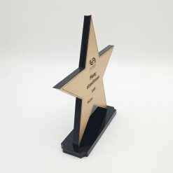 Juodo ir aukso atspalvių žvaigždės formos apdovanojimų statulėlė su nominacija „Metų atradimas 2025“.