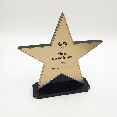 Aukso spalvos žvaigždės formos nominacijos statulėlė ant juodo pagrindo su užrašu „Metų atradimas“.